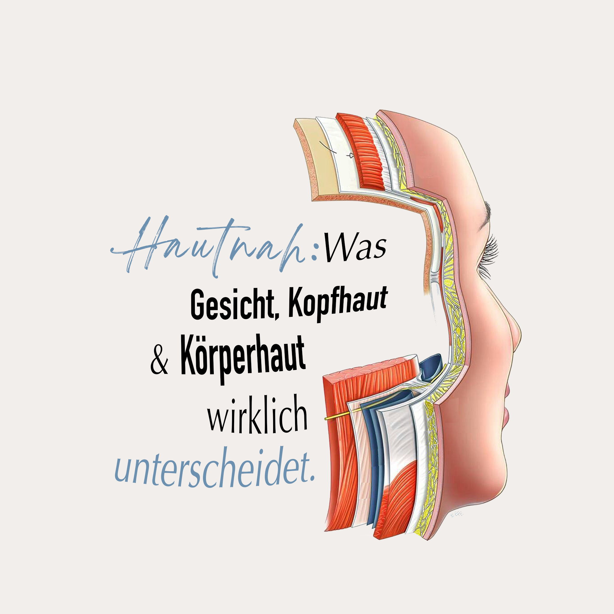Hautnah: Was Gesicht, Kopfhaut und Körperhaut wirklich unterscheidet.