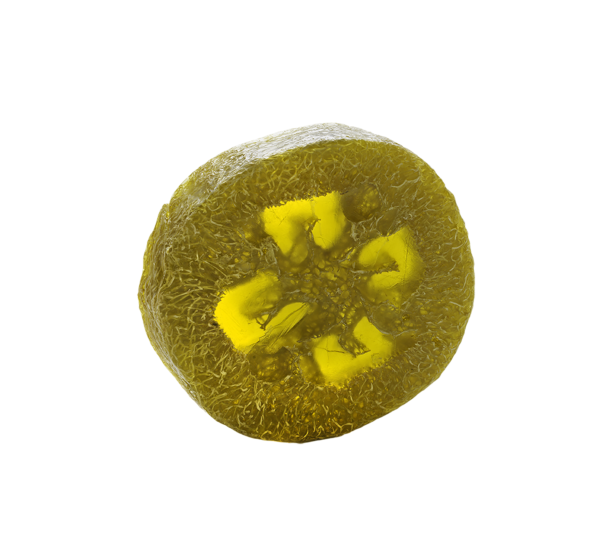 fussloofahseifecitrus_d5c32491-1686-4537-89d4-31c7f7407b15.png