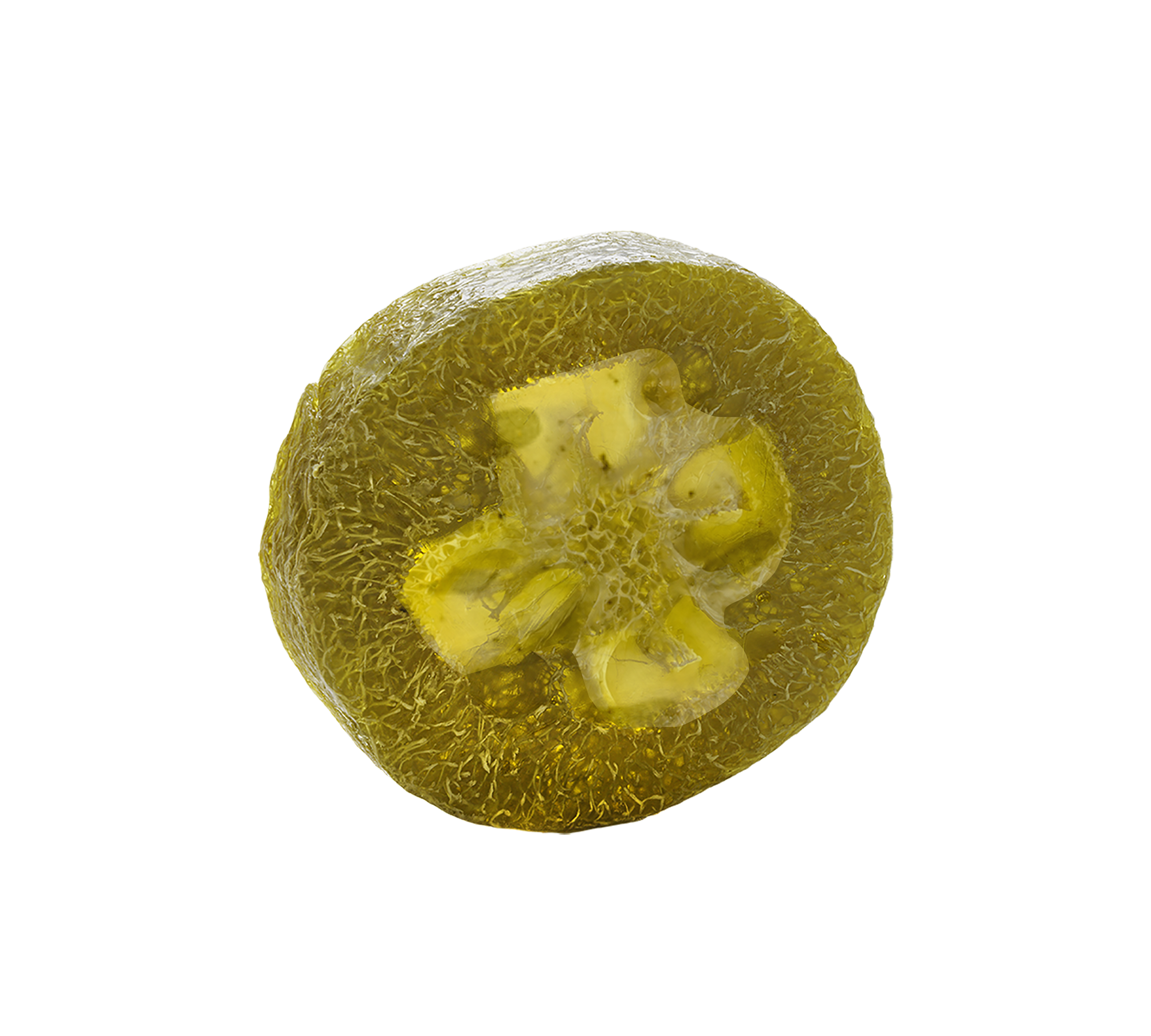 fussloofahseifegrapefruit.png