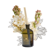Trinitae Aromatherapie Raumduft Diffuser Set - Tuberose