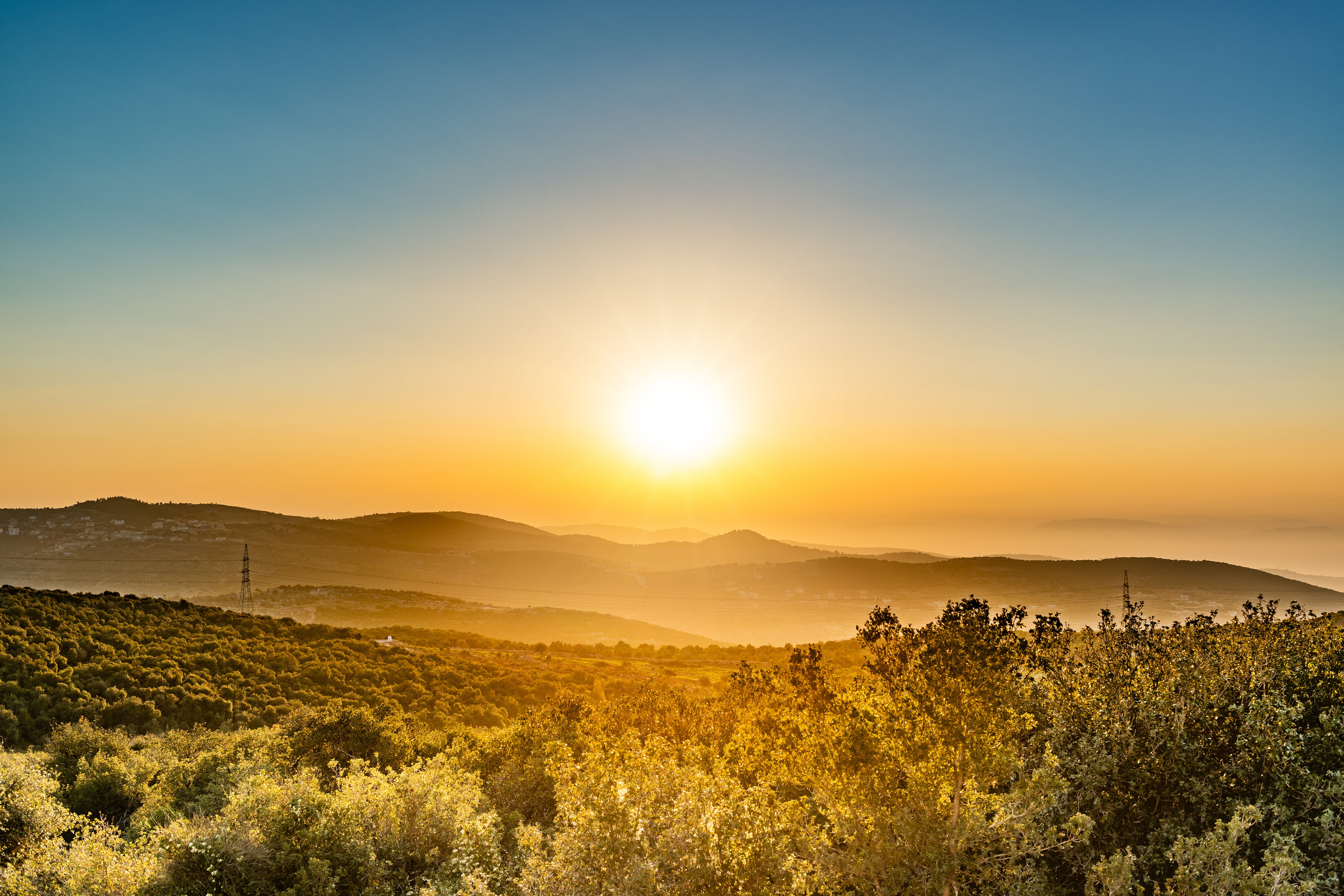 shutterstock_306743939.jpg